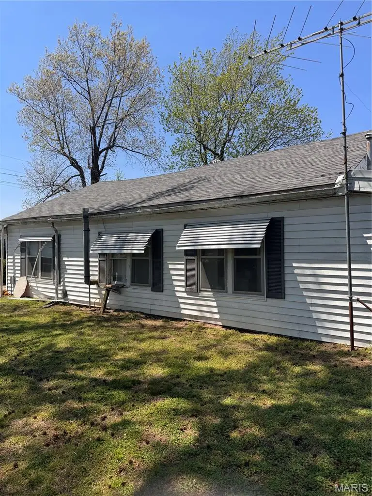 230 Swank Street, Diehlstadt, MO 63834 - #2