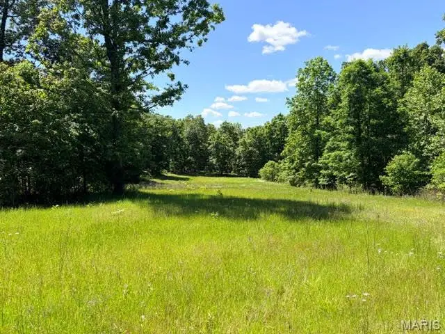 1 Ripley Route V, Doniphan, MO 63935 - #1