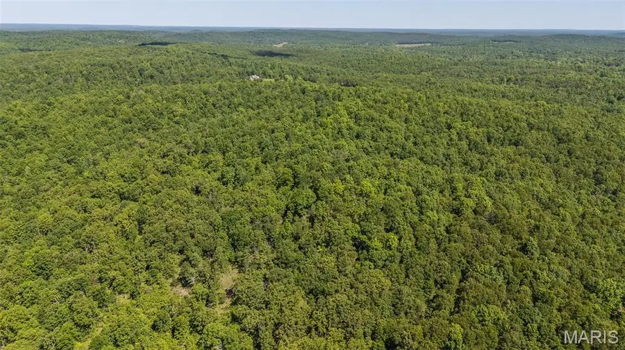 1 Ripley Route V, Doniphan, MO 63935 - #2
