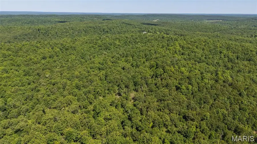 1 Ripley Route V, Doniphan, MO 63935 - #3