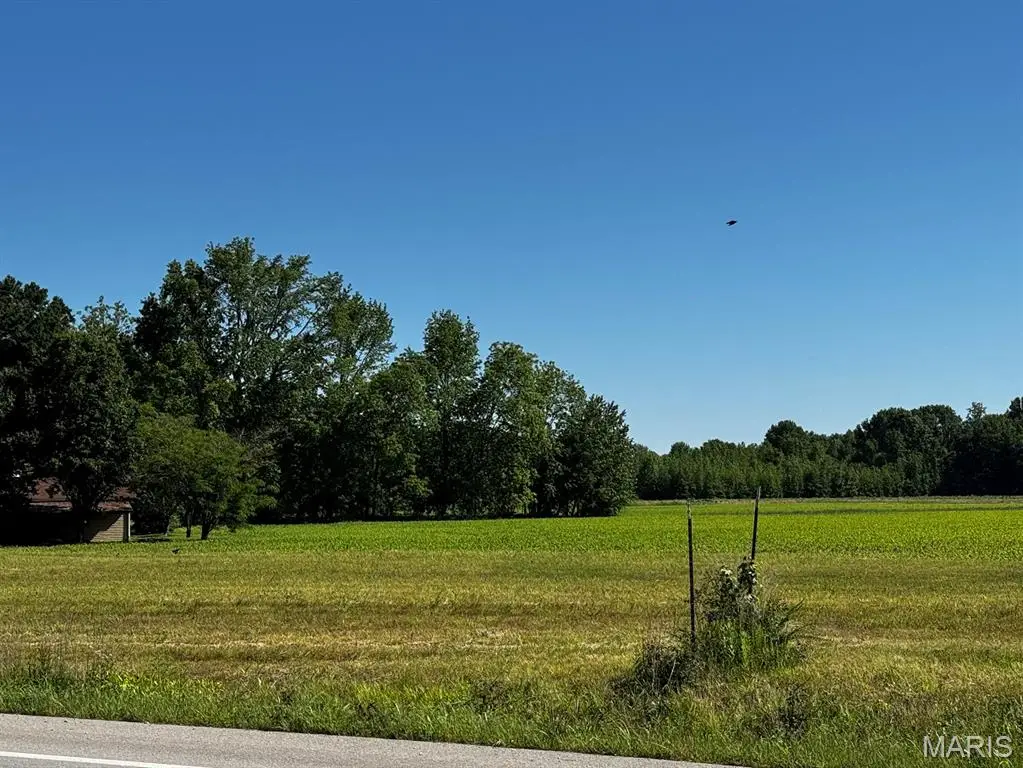 2221 County Road 608, Poplar Bluff, MO 63901 - #1