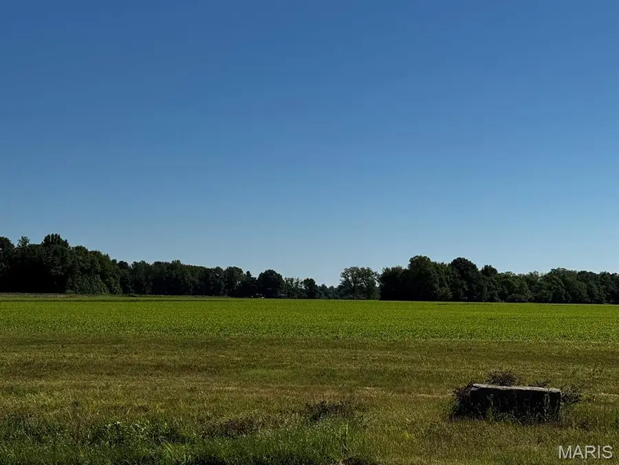 2221 County Road 608, Poplar Bluff, MO 63901 - #2