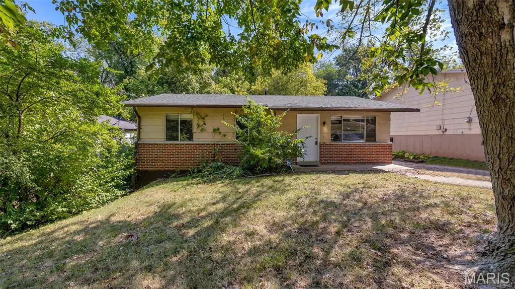 10062 Bon Oak Drive, Saint Louis, MO 63136 - #1