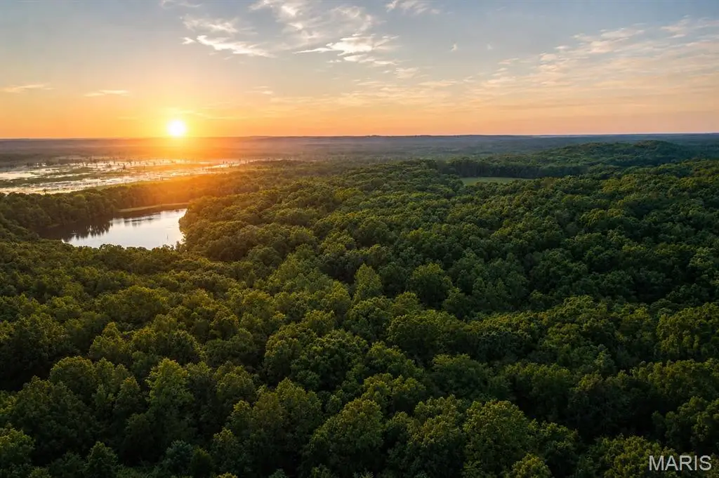 TBD Flat Banks Rd, Wappapello, MO 63966 - #1