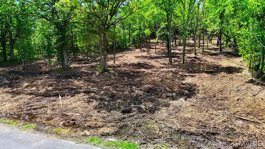 001 Hencher Road, De Soto, MO 63020 - #3