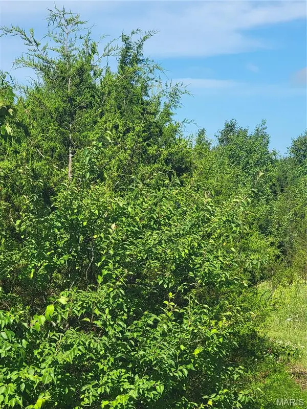 5086 Fox Creek Road, Pacific, MO 63069