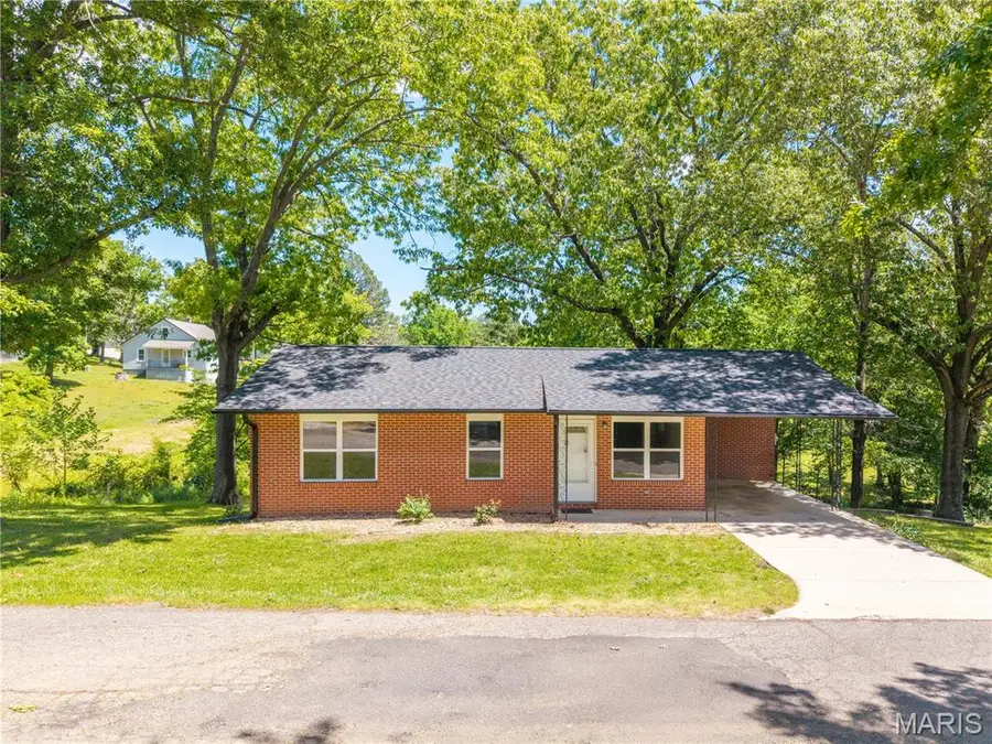 206 Tippett Street, Marble Hill, MO 63764 - #2