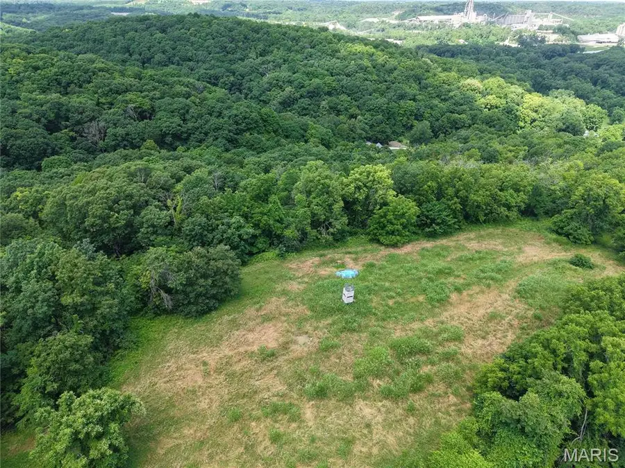 24 Monkey Run, Hannibal, MO 63401 - #2