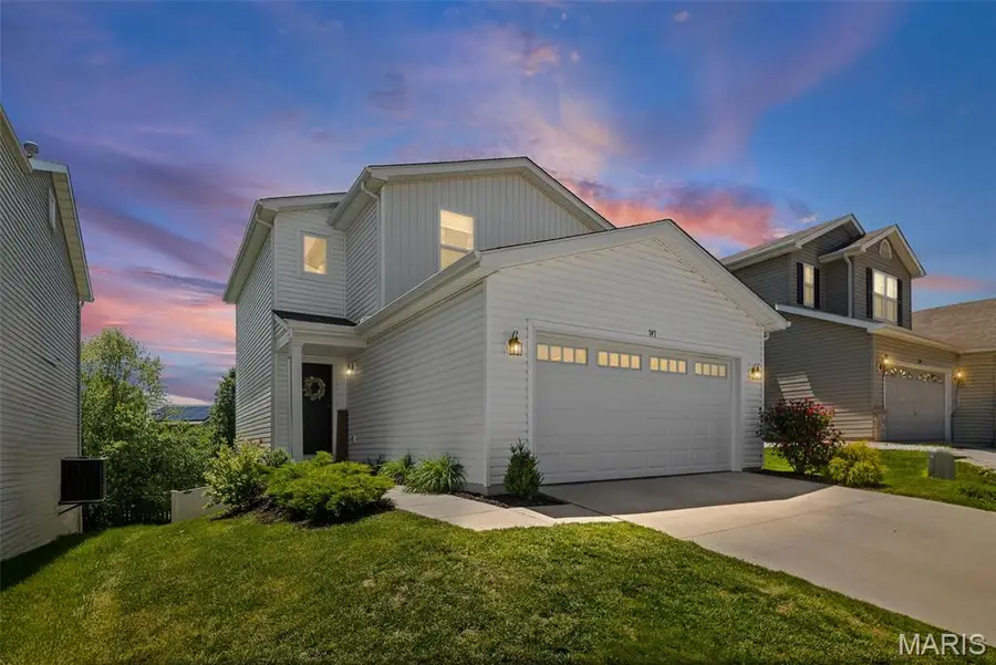 141 Rivermeade Lane, Belleville, IL 62220 - #2
