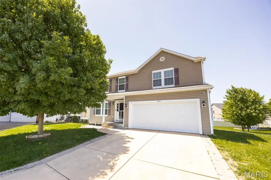 205 Greenleaf Circle, Belleville, IL 62221 - #3