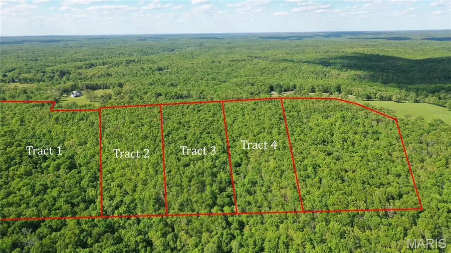 Tract 3 County Rd 4215, Salem, MO 65560 - #3