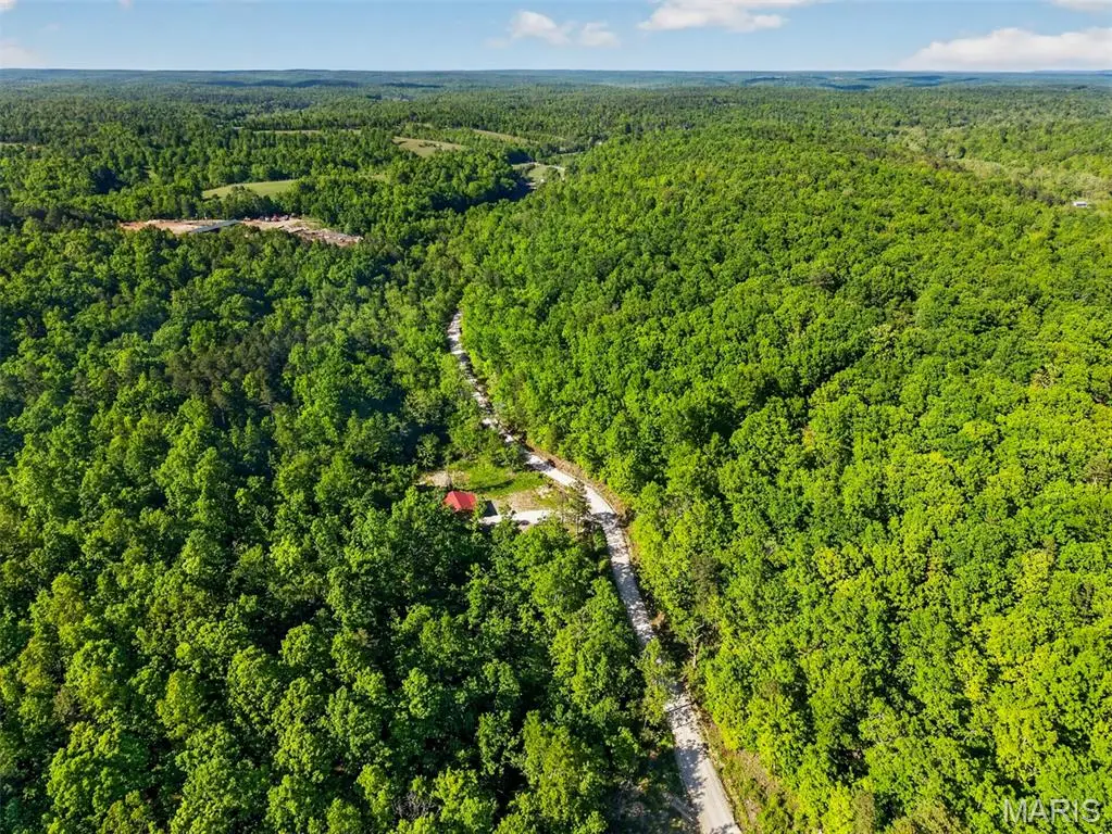 955 County Rd 900, Bunker, MO 63629 - #1