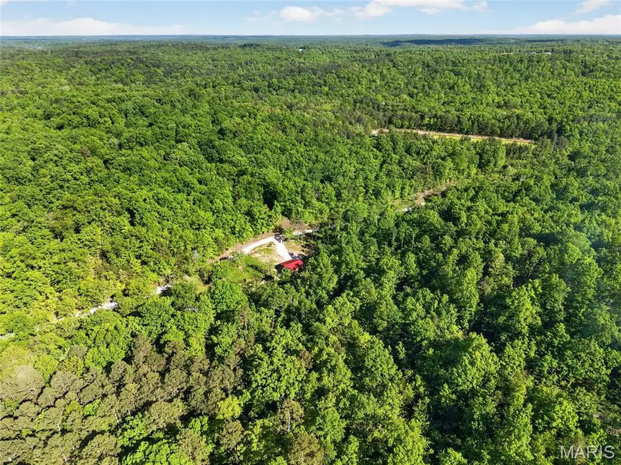 955 County Rd 900, Bunker, MO 63629 - #2