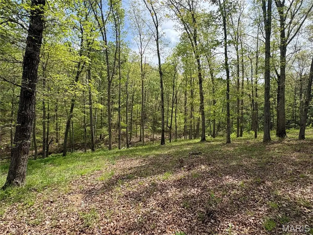 10405 County Road 700, Centerville, MO 63633 - #1