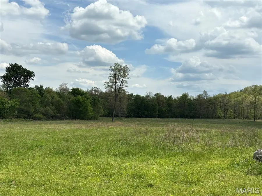 10405 County Road 700, Centerville, MO 63633 - #2