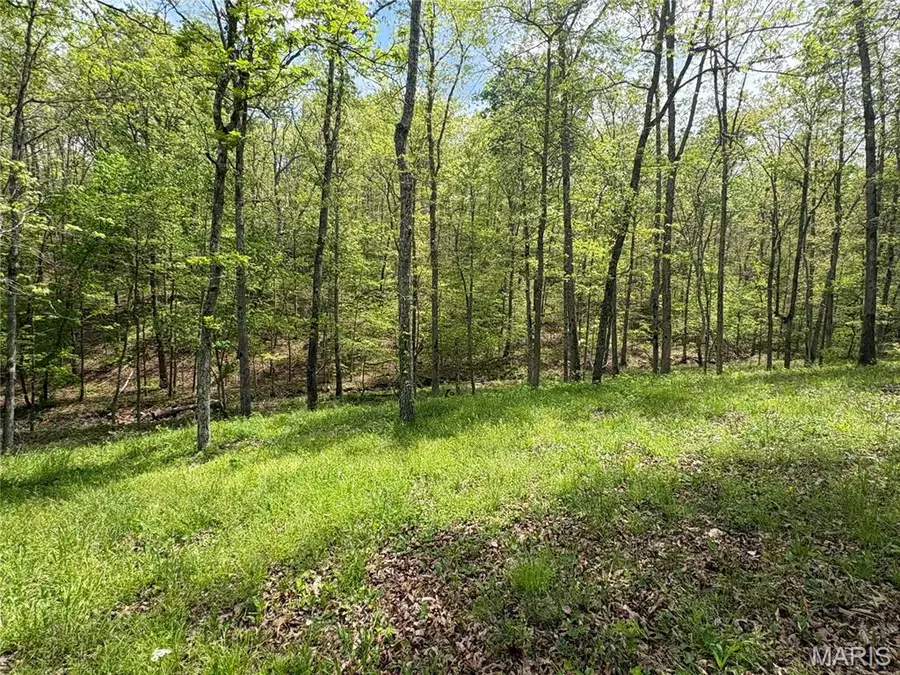 10405 County Road 700, Centerville, MO 63633 - #3