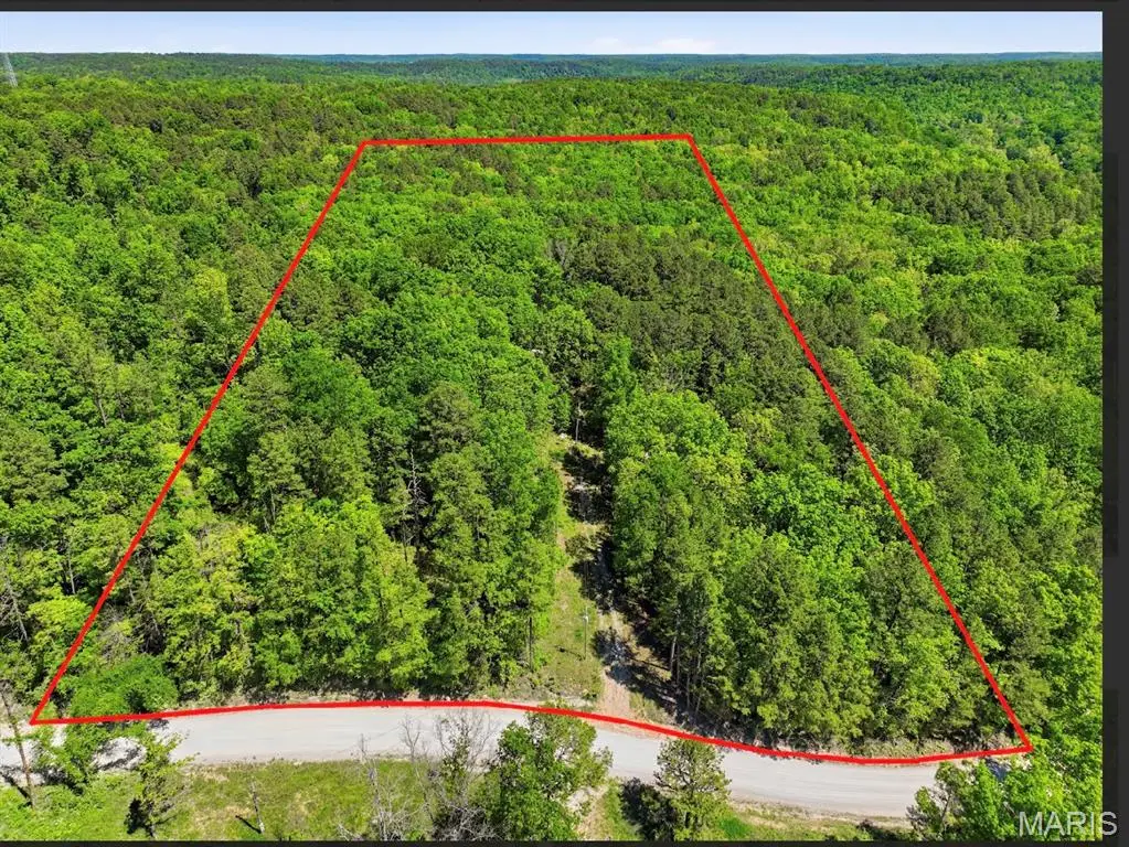 15601 Boiling Springs Rd, Licking, MO 65542 - #1