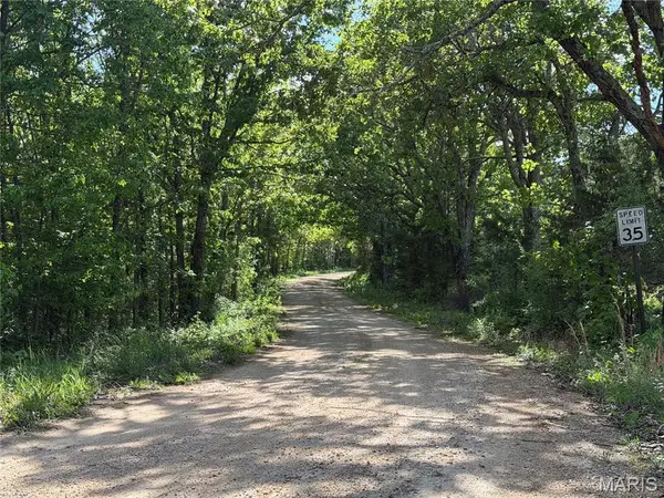 Tract 2 County Rd 4215, Salem, MO 65560