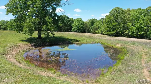 Tract 5 County Rd 4215, Salem, MO 65560