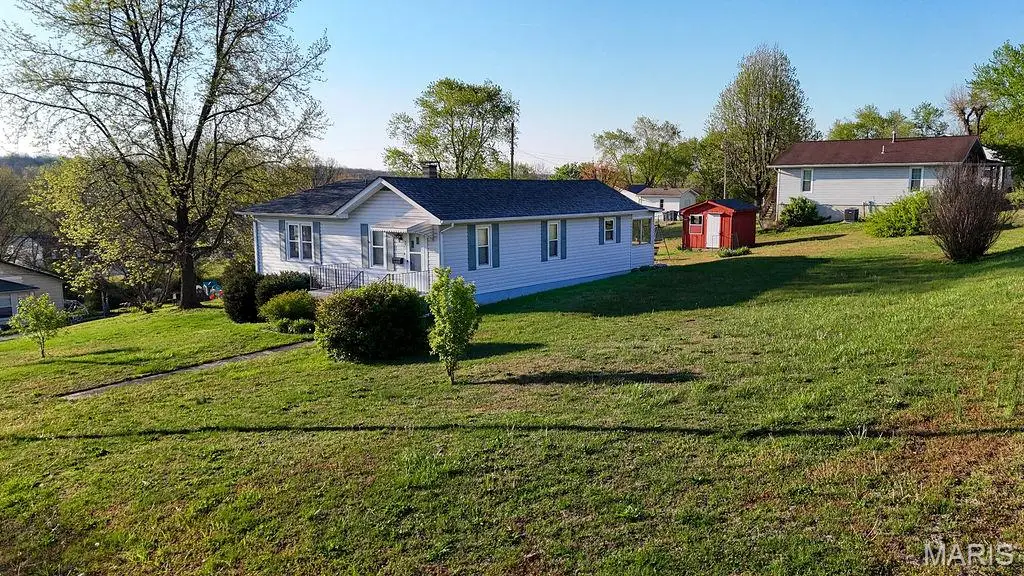 321 Lake Street, De Soto, MO 63020 - #1
