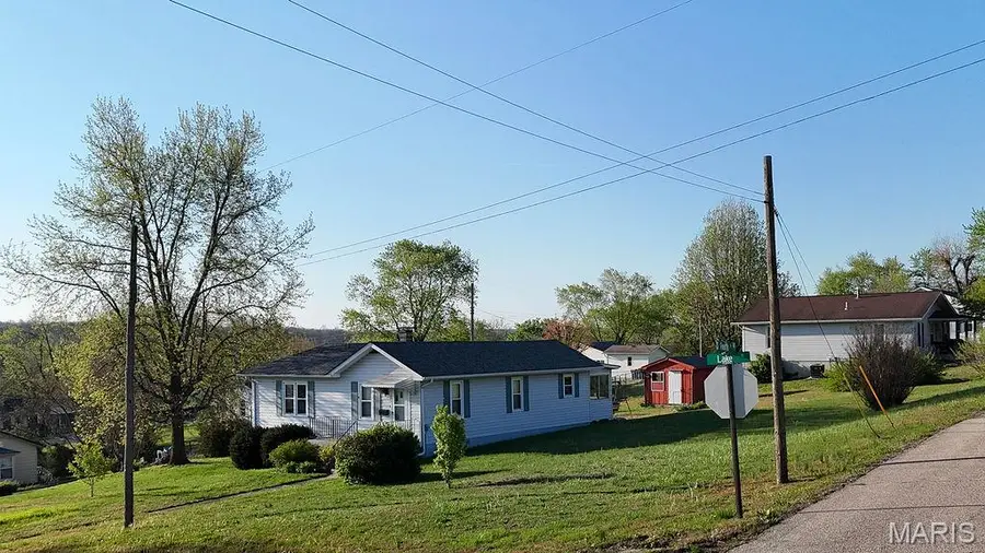 321 Lake Street, De Soto, MO 63020 - #2
