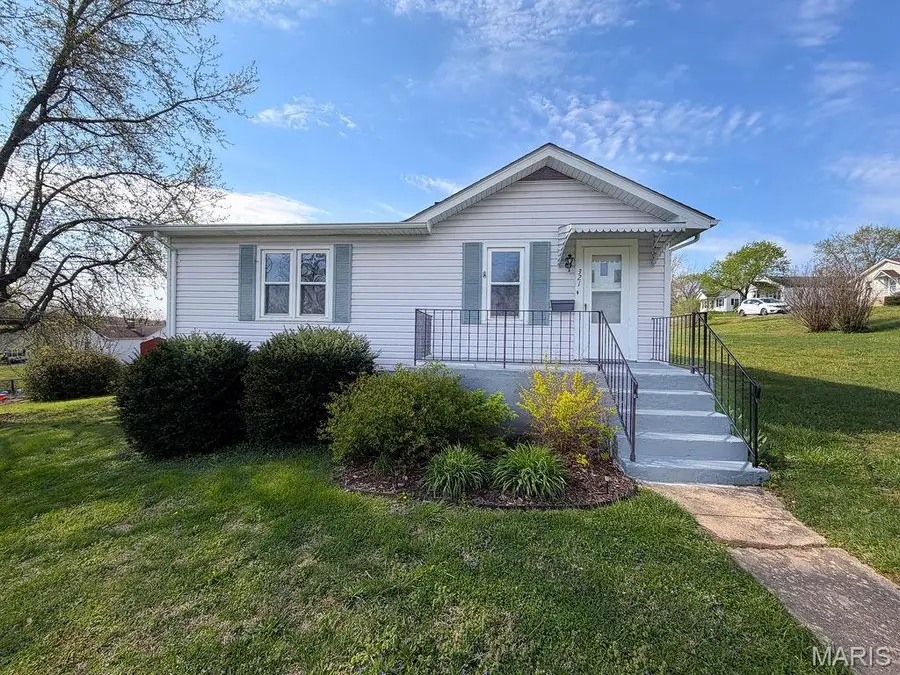 321 Lake Street, De Soto, MO 63020 - #3