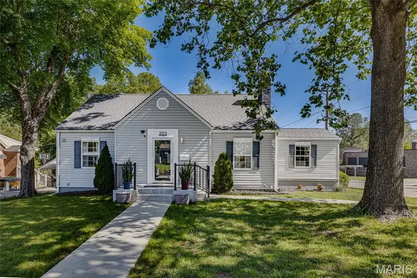 203 Boyce Street, Farmington, MO 63640