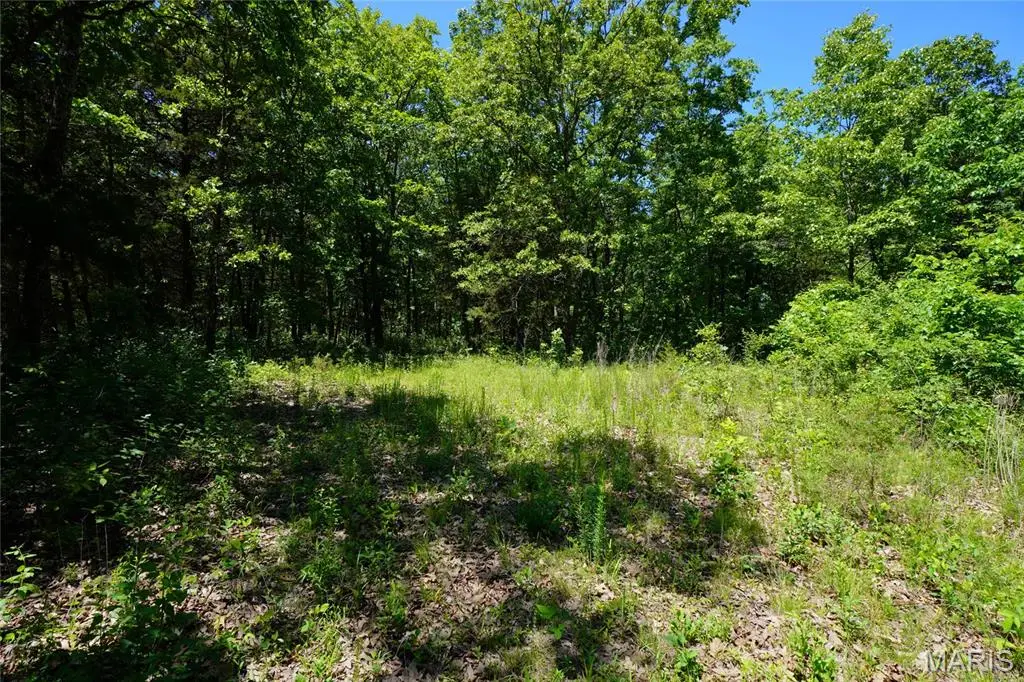 0 Blocks Branch Road, Owensville, MO 65066 - #1