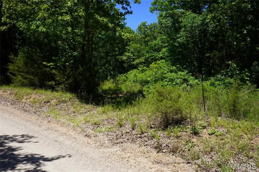 0 Blocks Branch Road, Owensville, MO 65066 - #2