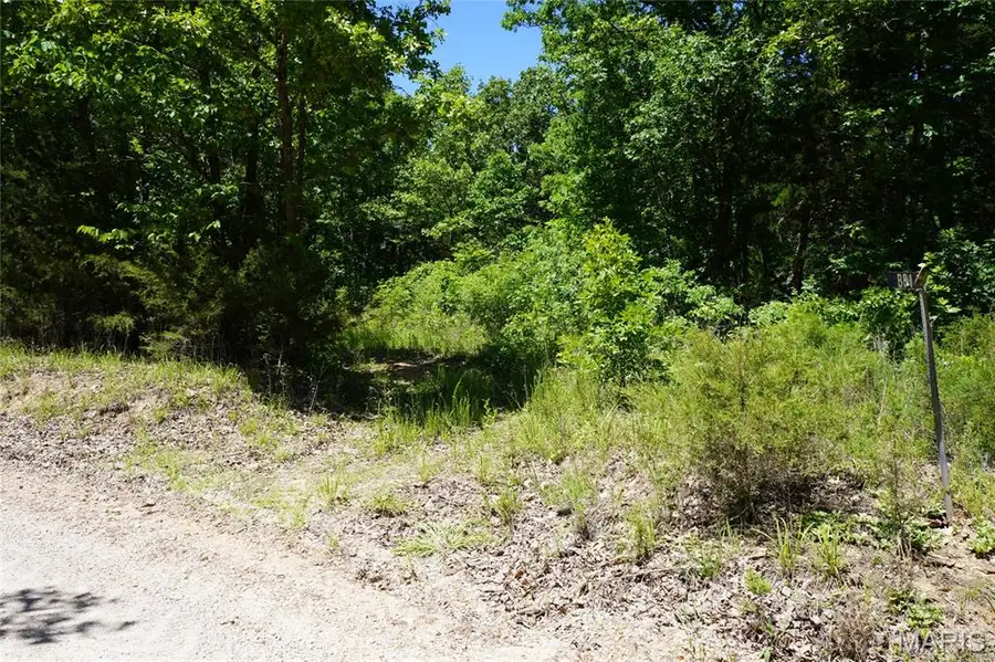 0 Blocks Branch Road, Owensville, MO 65066 - #3
