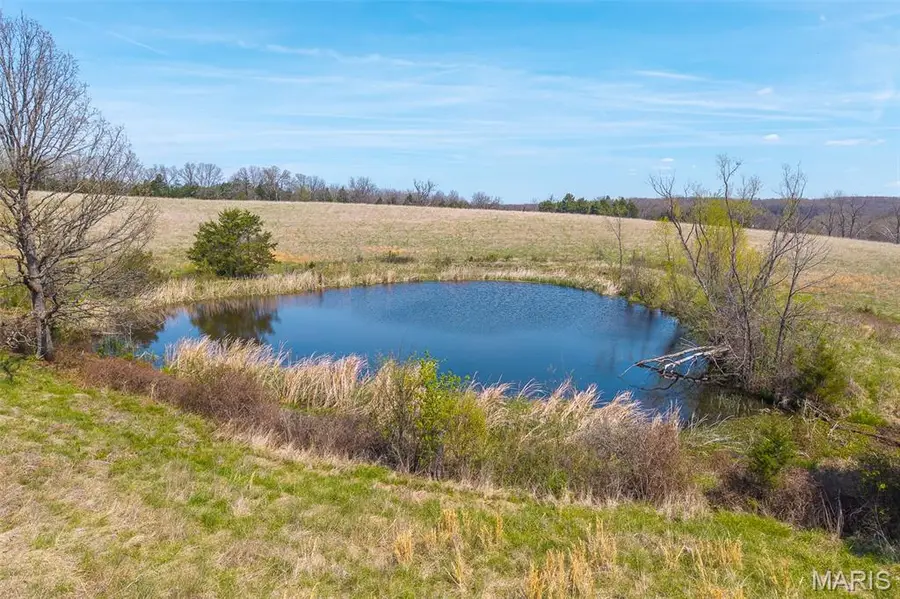 000 Snipe Road, Richland, MO 65556 - #3