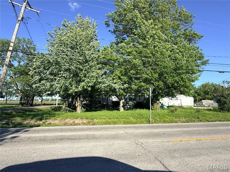 607 Springfield Road, Gillespie, IL 62033 - #2
