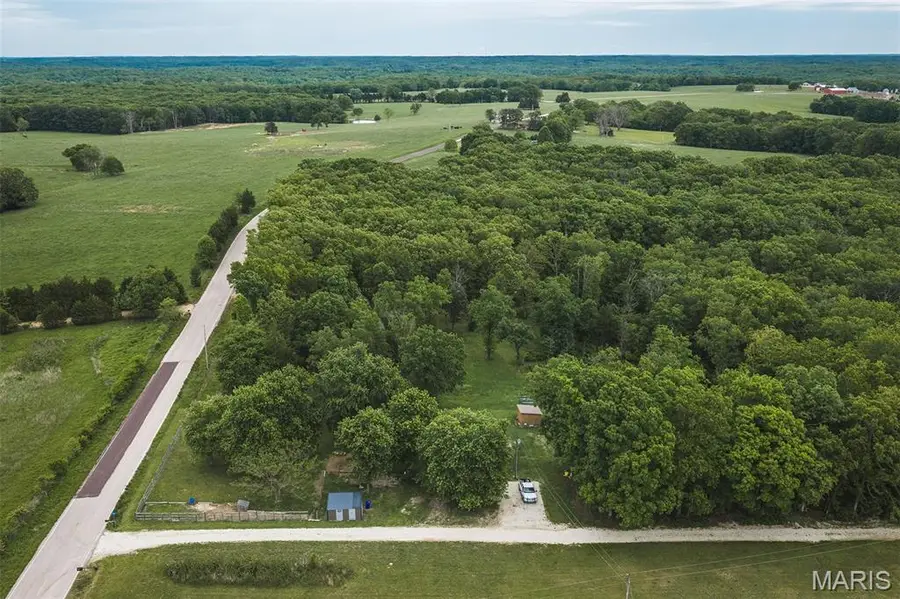 110 Goshen Road, Leslie, MO 63056 - #3
