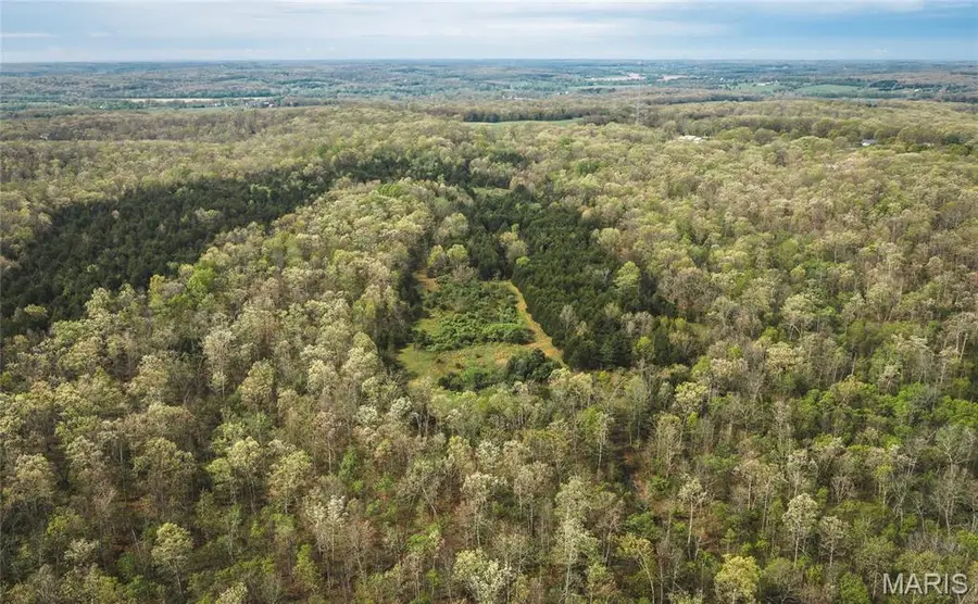 Tract 2 Cleavesville Road, Bland, MO 65014 - #2