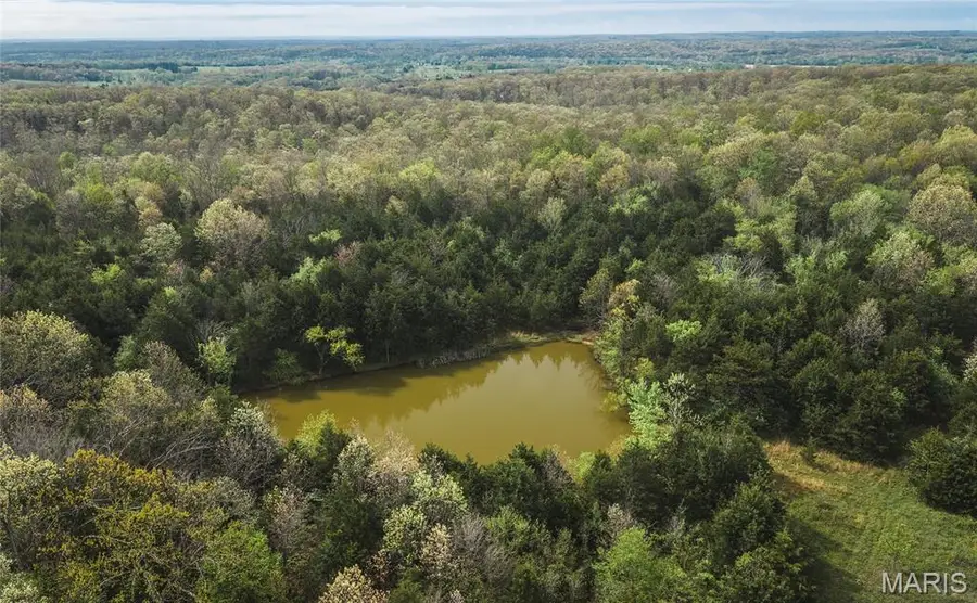 Tract 3 Cleavesville Road, Bland, MO 65014 - #3