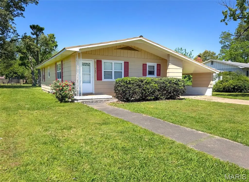 307 Medler Street, Bernie, MO 63822 - #1