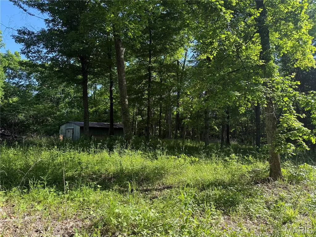 0 Rustic Acres Drive, Bonne Terre, MO 63628 - #1