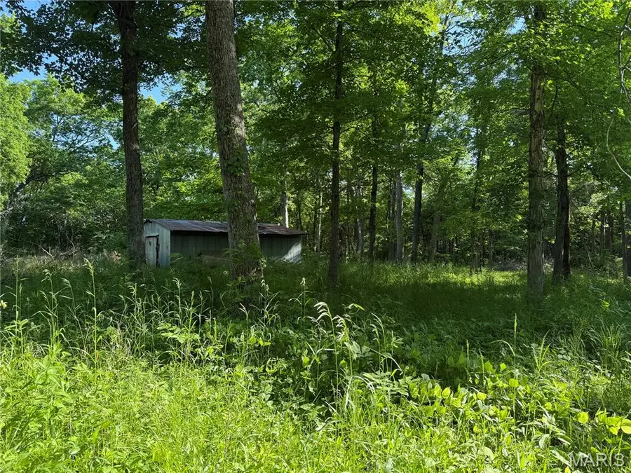 0 Rustic Acres Drive, Bonne Terre, MO 63628 - #2