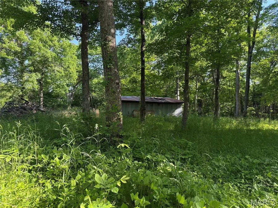 0 Rustic Acres Drive, Bonne Terre, MO 63628 - #3