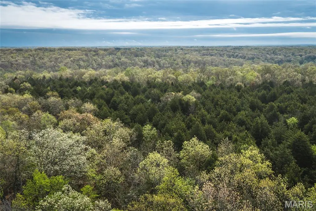 Tract 4 Cleavesville Road, Bland, MO 65014 - #1