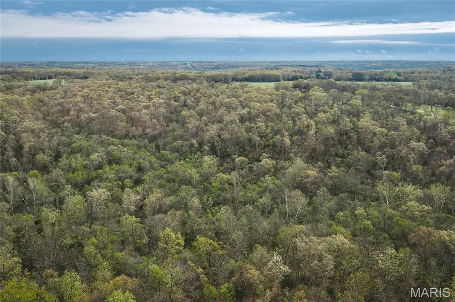 Tract 4 Cleavesville Road, Bland, MO 65014 - #2