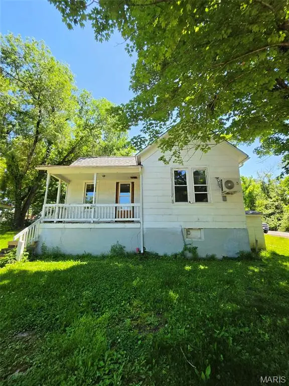 230 Low Street, Bonne Terre, MO 63628 - #1