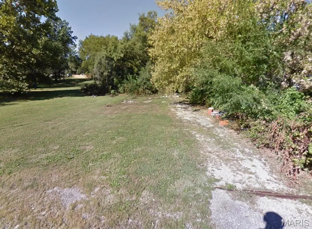 144 Haven Street, Cottage Hills, IL 62018 - #1