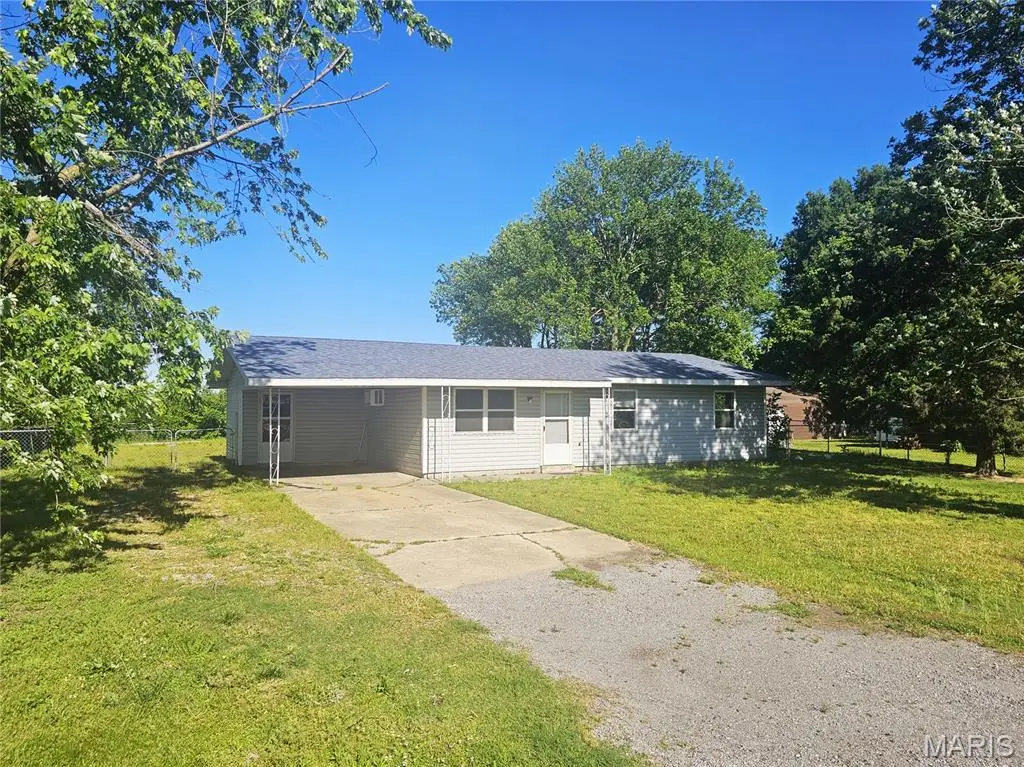 39335 W Sue Drive, Malden, MO 63863 - #1
