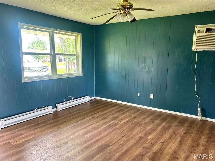 39335 W Sue Drive, Malden, MO 63863 - #3