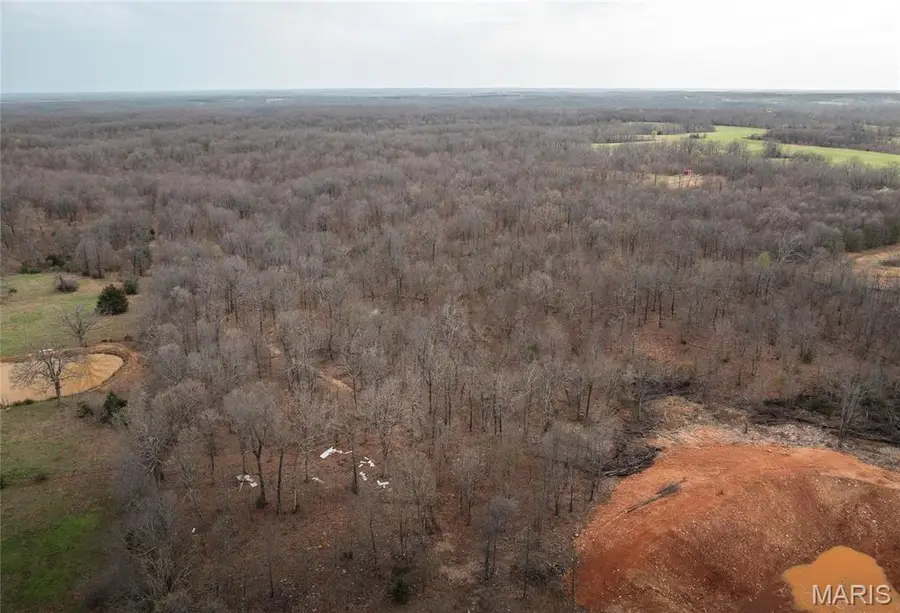 1610 State Highway 64, Tunas, MO 65764 - #2