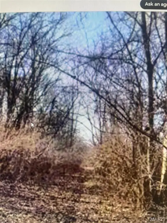 5780 St Road Pp, High Ridge, MO 63049 - #2