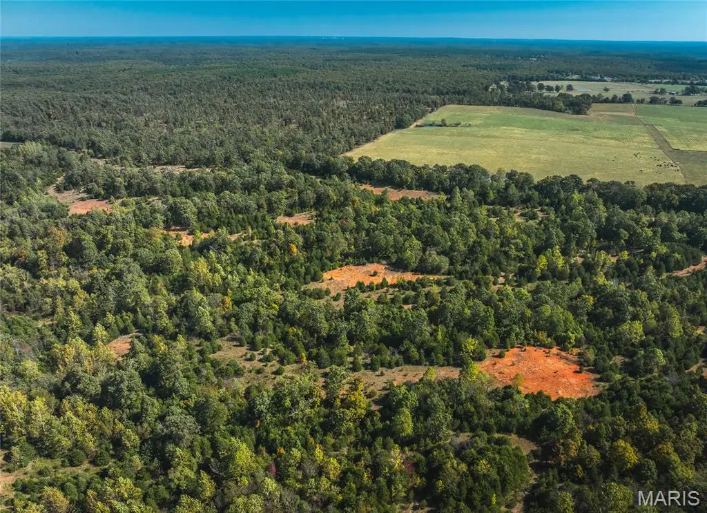Lot 4 Clementine Road, Newburg, MO 65550 - #1