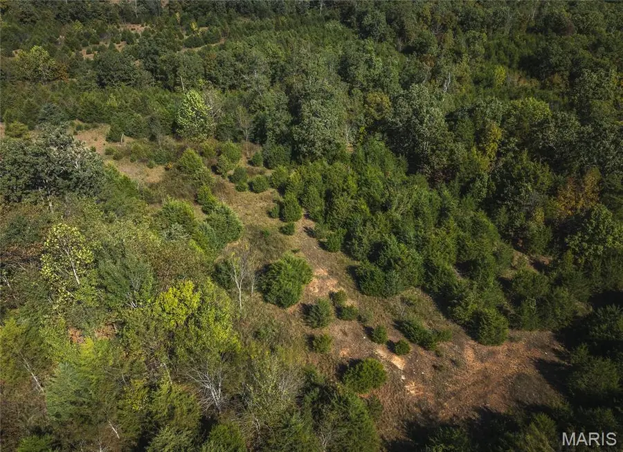 Lot 5 Clementine Road, Newburg, MO 65550 - #2