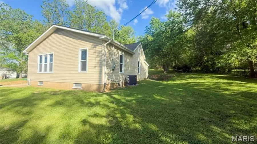 5336 Morse Avenue, De Soto, MO 63020 - #2